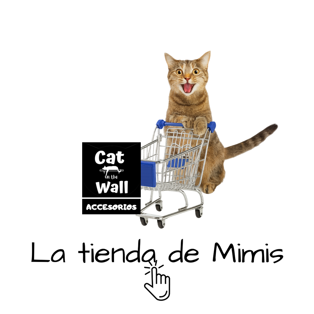 TIENDA DE ACCESORIOS